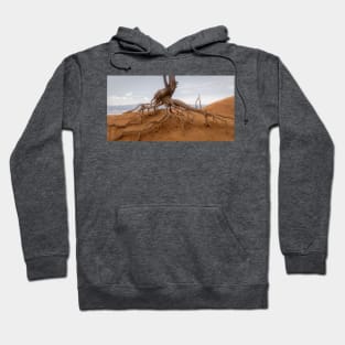 Walking Tree - Bryce Canyon - Utah Hoodie